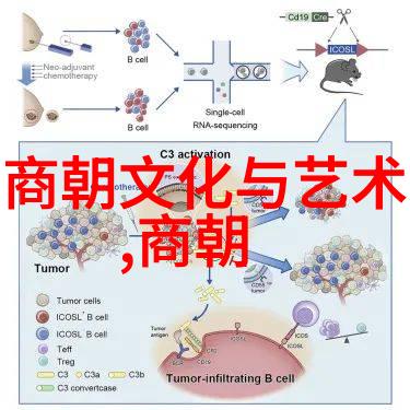 明朝那些事儿奇书网全文解锁历史的深秘