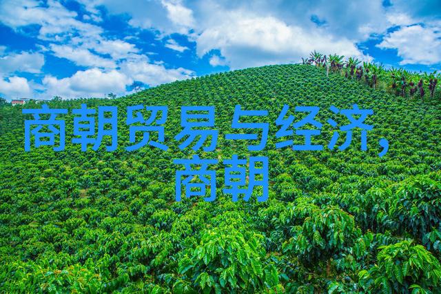 刘志的太极拳十年磨一剑2008年全国武术套路锦标赛男子赛区侧记