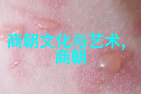 元朝对外关系西方游牧部落与东方帝国交往