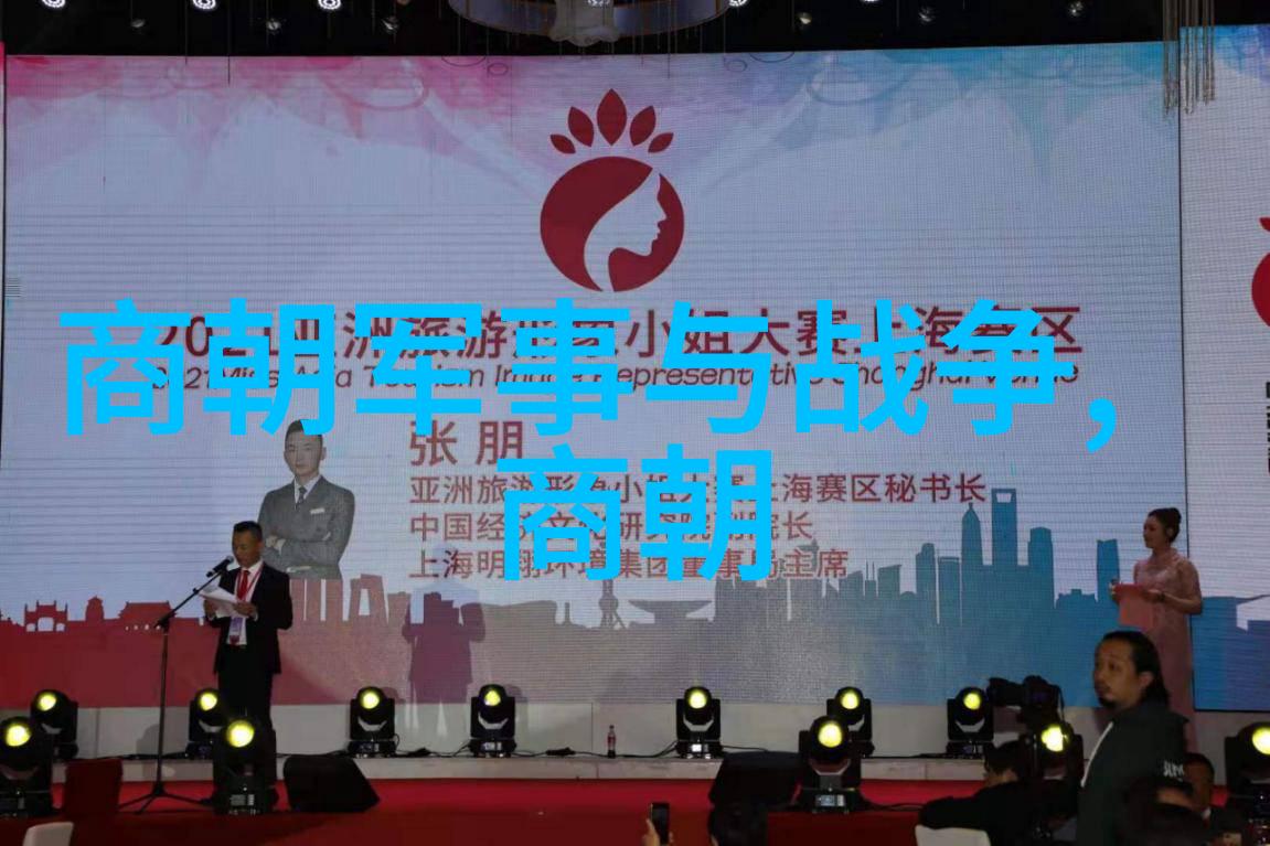 历史探究-元朝的中国身份一段辩论的历史