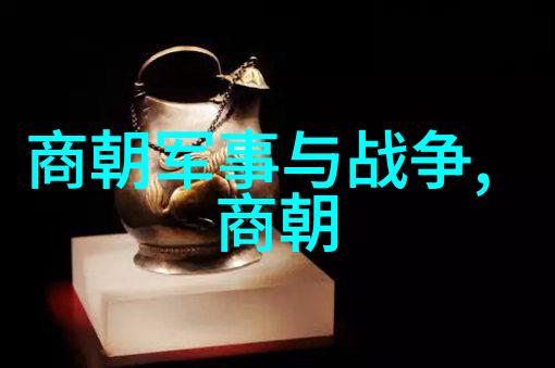 美国第十次啦我又来到美国了第十次的冒险与发现
