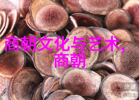 张碧晨光芒中国歌坛天后揭秘谁能闪耀