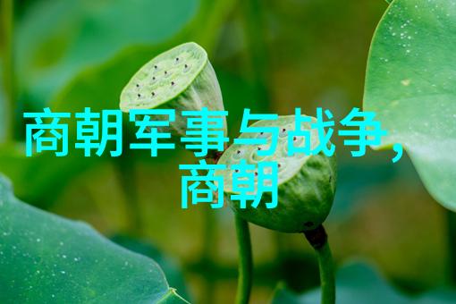 中国古代的辉煌与衰落从秦汉到清朝的历史回眸