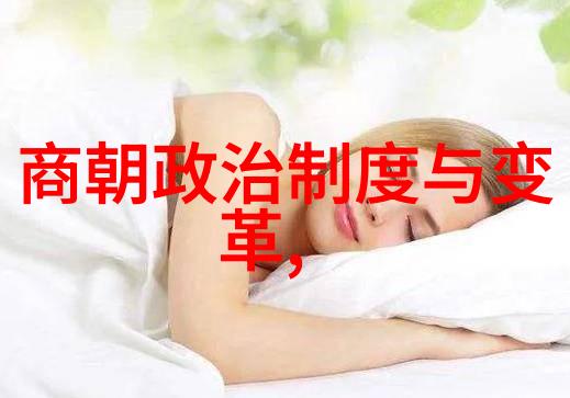 文化冲击如何看待大明时期对外来文化的接纳
