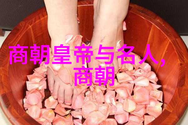 明朝的英杰一探其数不胜数的奥秘