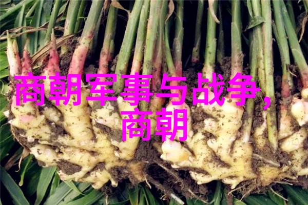 为啥朱元璋不选朱棣他那一手高明的政治算计