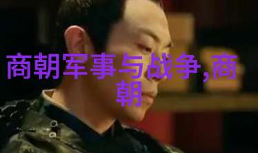 明朝台湾-明清交替下的台湾从郑成功到荷兰人的统治