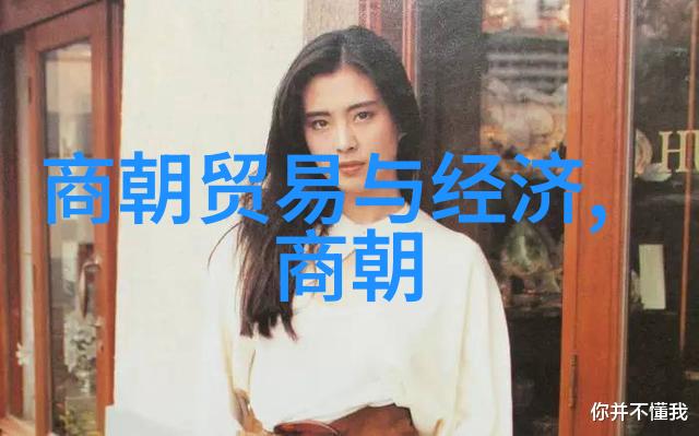 宋朝相关历史内容-北宋与南宋的兴衰两代君主的治国策略与社会变迁