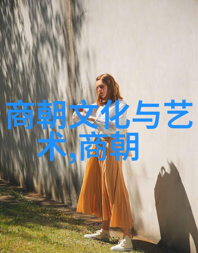 明朝历史解说 - 明代文化繁荣与政治衰败的矛盾考察
