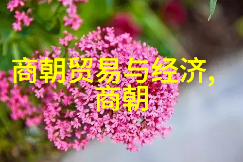 明朝的辉煌帝王与大臣的盛世序列