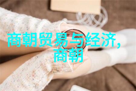 汉武帝时代后中国王朝实力的起伏是什么样的
