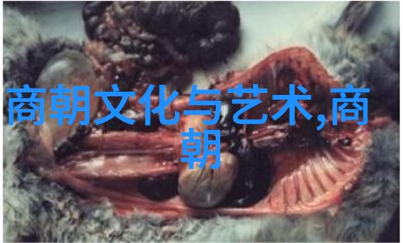 南朝历史大变局晋宋齐梁陈兴衰的轮回