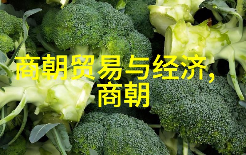 从明朝辉煌到人间悲凉那些让人唏嘘的经典语录