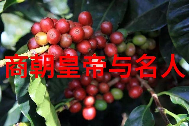 烽火戏诸侯很好笑吗