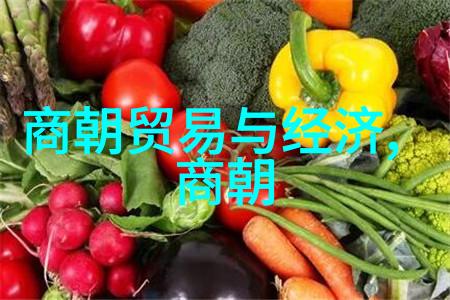 明军北伐檄文全文解读朱允炆的雄心与战略考量