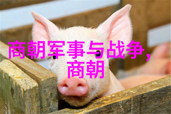 旗袍全开襟做双人运动人民网我和闺蜜的超酷夏日挑战在热浪中也能风采飘逸