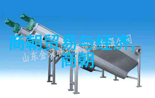 北宋灭亡与金军入主中原