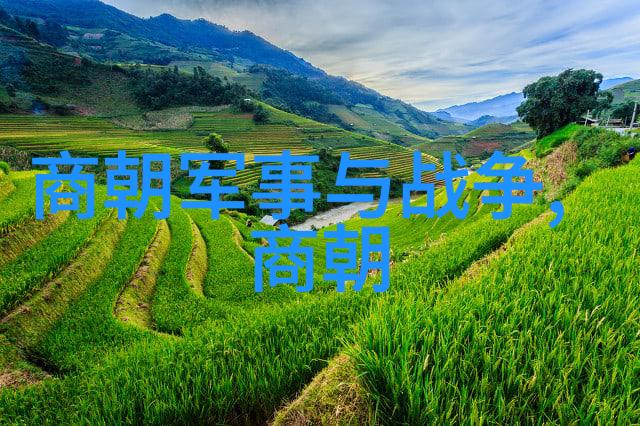 张瑞希率领武术文化专业委员会一行走进自然景观少林寺进行文化交流活动