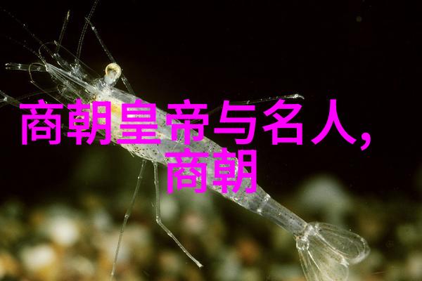 许桂枝黄梅戏龙女旦行演员典范