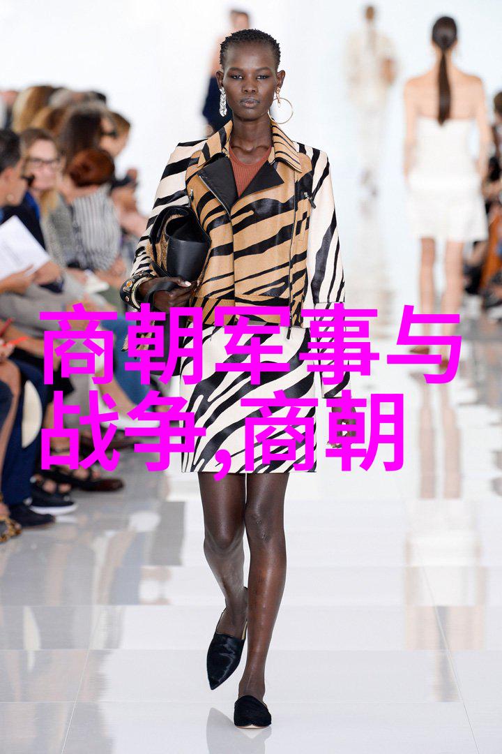 明朝王朝历史中国历史上的明代
