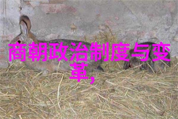 激情燃烧实时直播双人床上健身扑克大赛