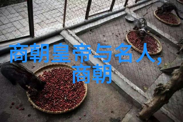 关于古代名人的历史故事 - 龙阳春唐朝诗人李白的生平与作品探究