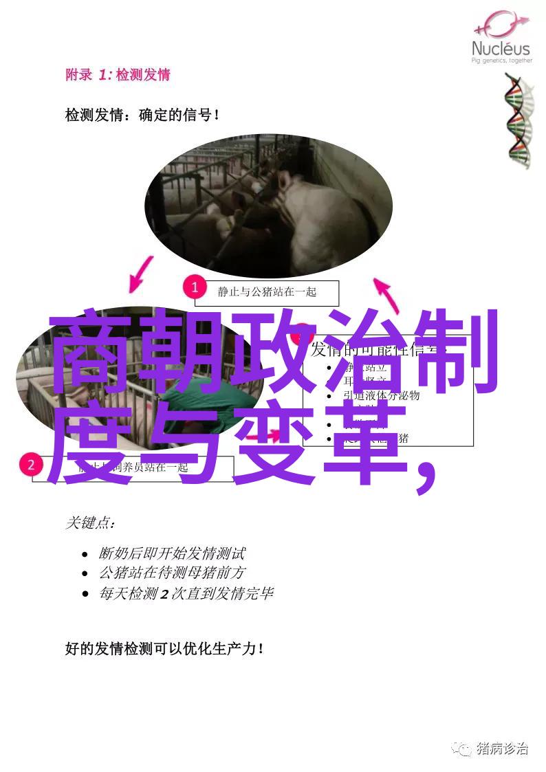 如何评价南朝宋时期政治上的顺序与军事上的反乱之间的关系