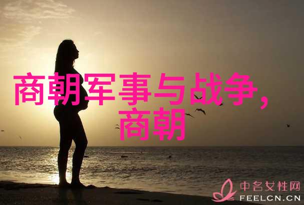 历史探索-南宋后面是什么朝代揭秘明清交替的奥秘