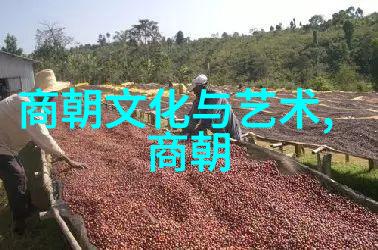 案例1