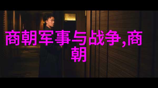 宋朝算大一统的王朝吗我看宋朝是不是真的把天下治得水清土革了