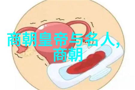 明朝17位皇帝的奇幻之旅从朱棣到崇祯穿越时空的大明帝国