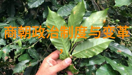 明朝皇帝世系顺序简介从洪武至崇禎的历史变迁