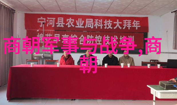宋国历史深刻宋朝的兴衰与文化遗产