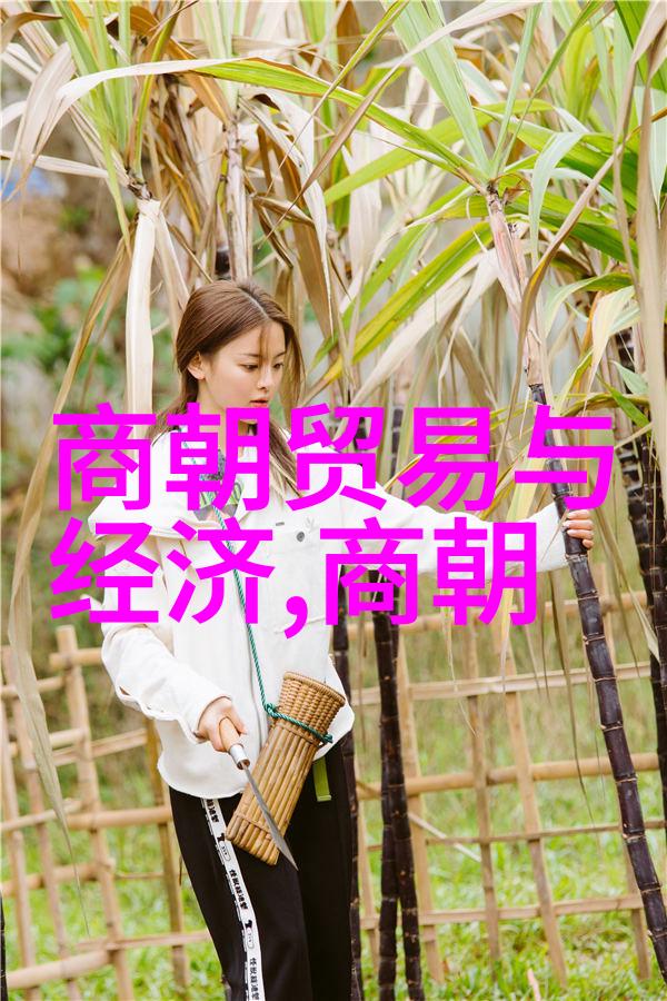张衡国学大师南怀瑾在社会的影响力