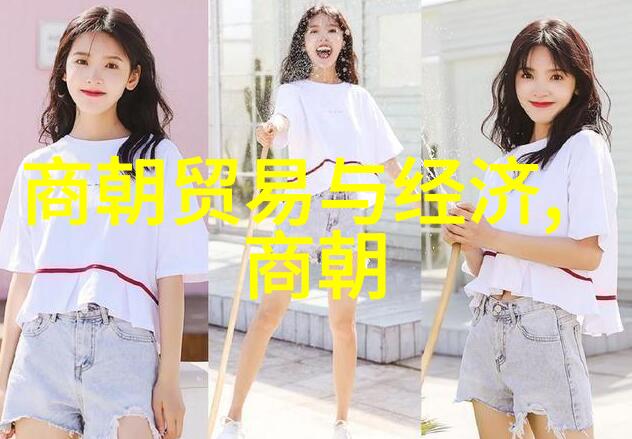 明朝简介-龙兴海内明朝的辉煌与衰落