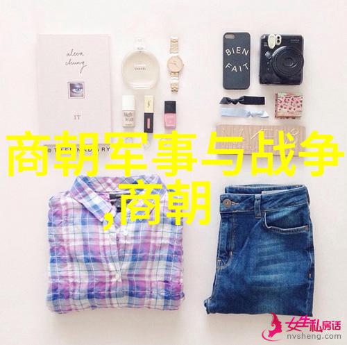 外来征服与内在统治元朝的入主中原问题探究