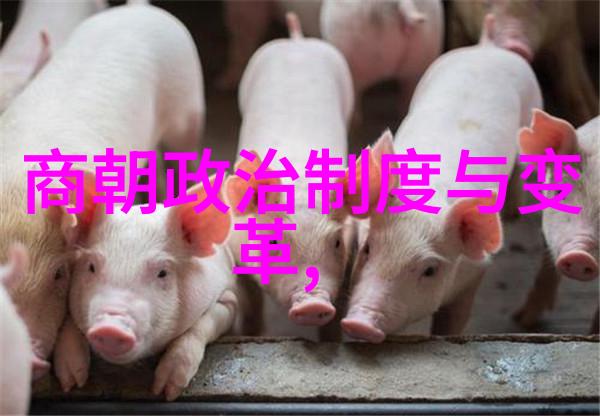 宋朝开国皇帝赵匡胤为何选择弟弟而非岳飞继位