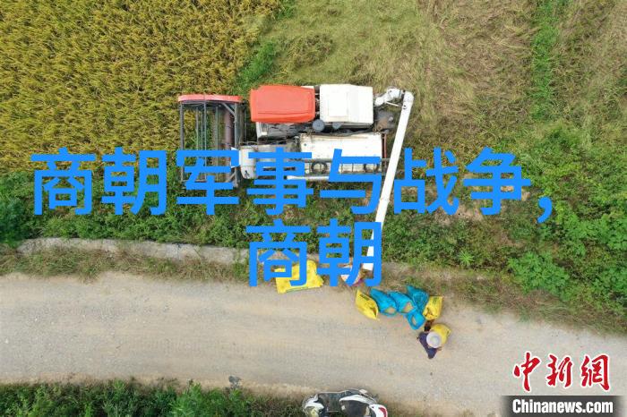 大清朝-顺序 龙凤盛世下的帝制秩序探究大清朝的政治体系