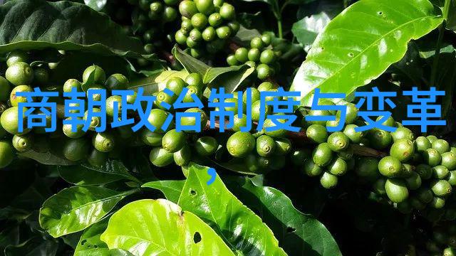 唐中宗的阴阳八盘掌刘乐民的幽默之旅