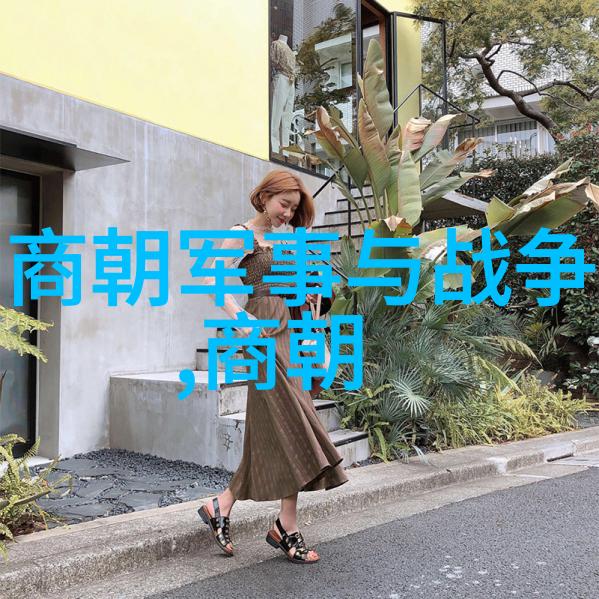 明朝历史讲解视频一窥明朝风华我和历史的对话