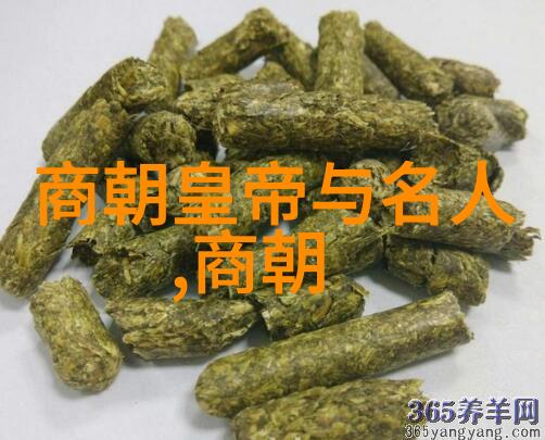 历史知识-吟诵千年解读24朝代顺序表口诀的艺术与智慧