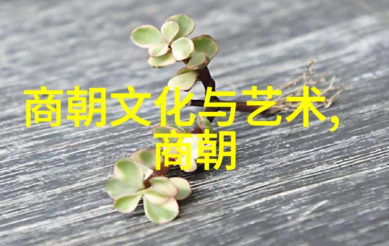 他们是如何被选中的