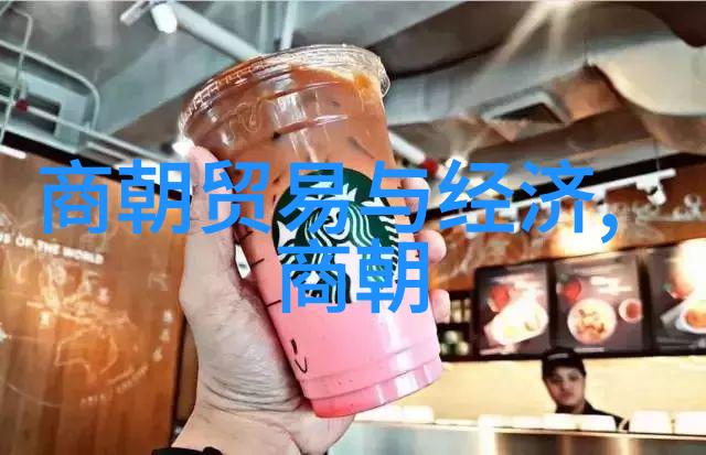千年沉浮揭秘中国王朝的隐秘传说与历史之谜