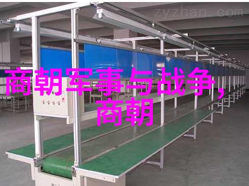 辽国的末日元朝征服之谜