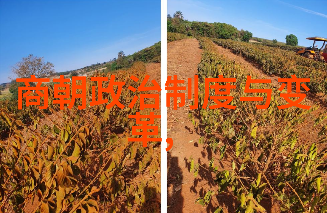 南宋的文化复兴与经济繁荣一段辉煌的历史篇章