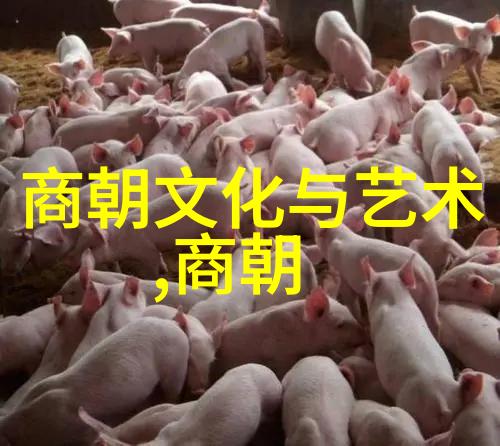 闫玉龙豫剧界的演技神带你逗笑天下