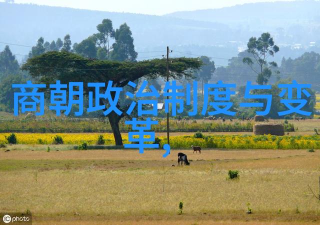 外患内忧南宋的政治困境