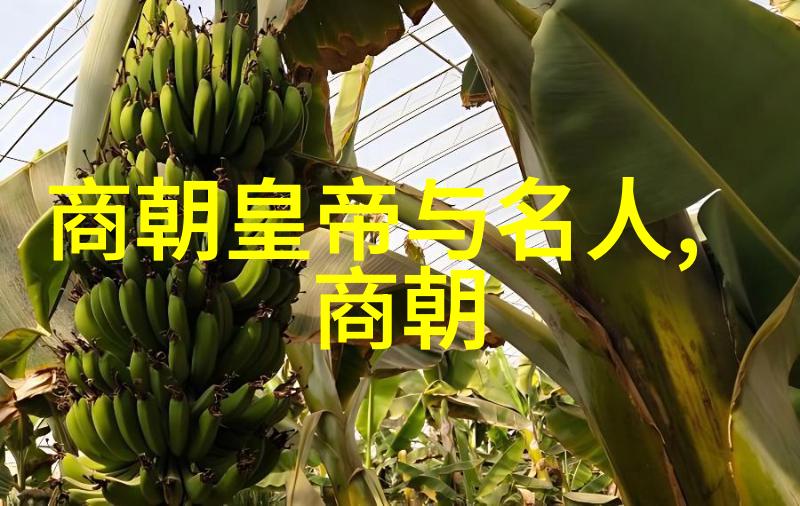 元朝如何灭亡的我怎么知道的元朝那些事儿