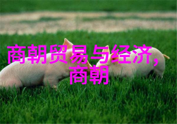 千年长河中国历史的迷雾之谜