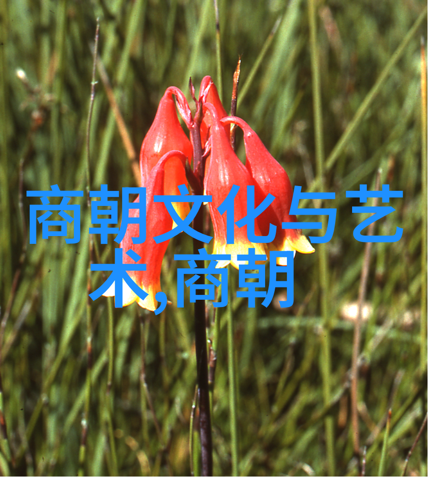 明朝风华诸葛谏议与王守仁的官场辉煌